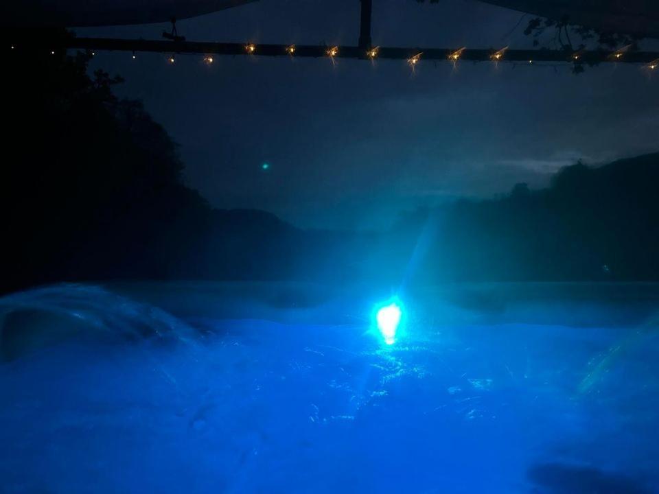 'Morris' The Shepherd'S Hut And Woodland Hot Tub Experience كرمرثن المظهر الخارجي الصورة