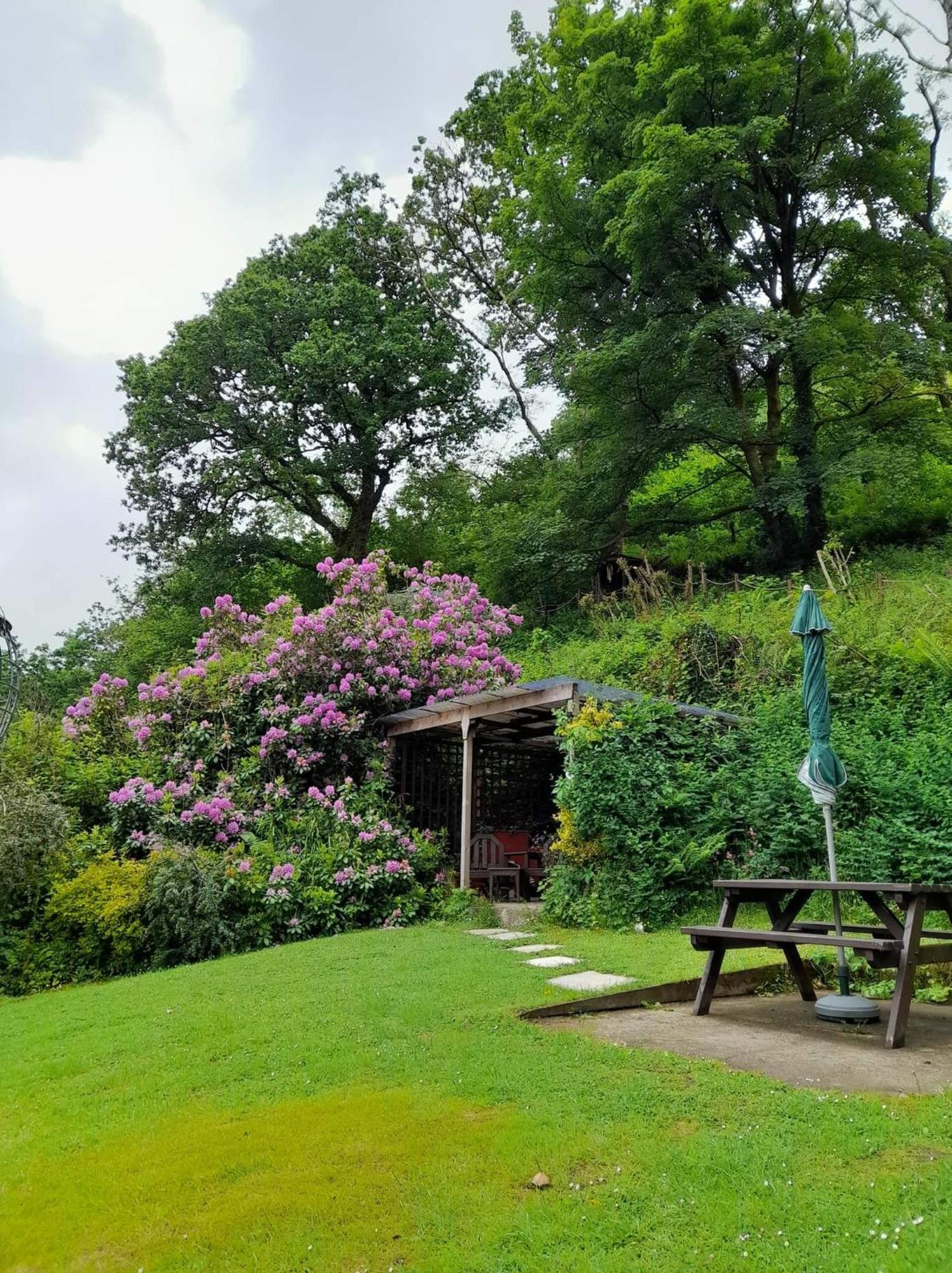 'Morris' The Shepherd'S Hut And Woodland Hot Tub Experience كرمرثن المظهر الخارجي الصورة