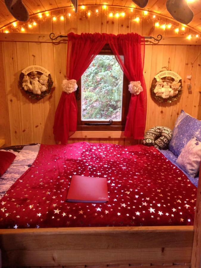 'Morris' The Shepherd'S Hut And Woodland Hot Tub Experience كرمرثن المظهر الخارجي الصورة
