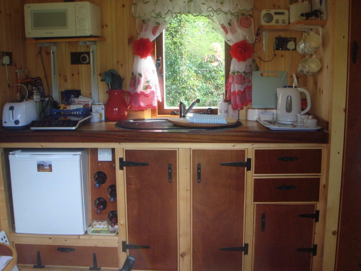 'Morris' The Shepherd'S Hut And Woodland Hot Tub Experience كرمرثن المظهر الخارجي الصورة