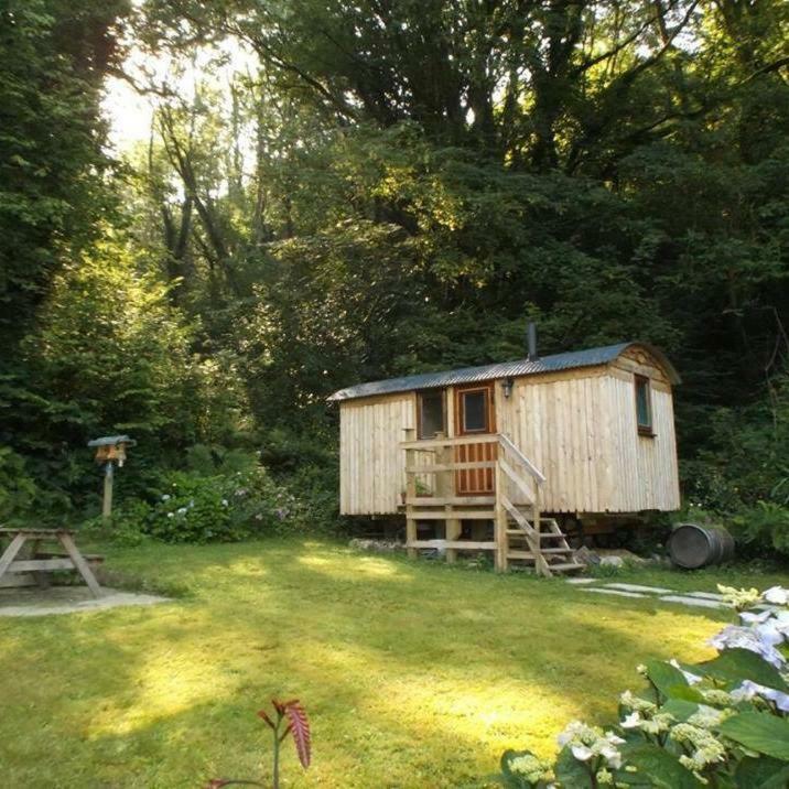 'Morris' The Shepherd'S Hut And Woodland Hot Tub Experience كرمرثن المظهر الخارجي الصورة
