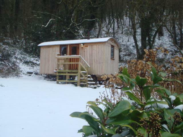 'Morris' The Shepherd'S Hut And Woodland Hot Tub Experience كرمرثن المظهر الخارجي الصورة