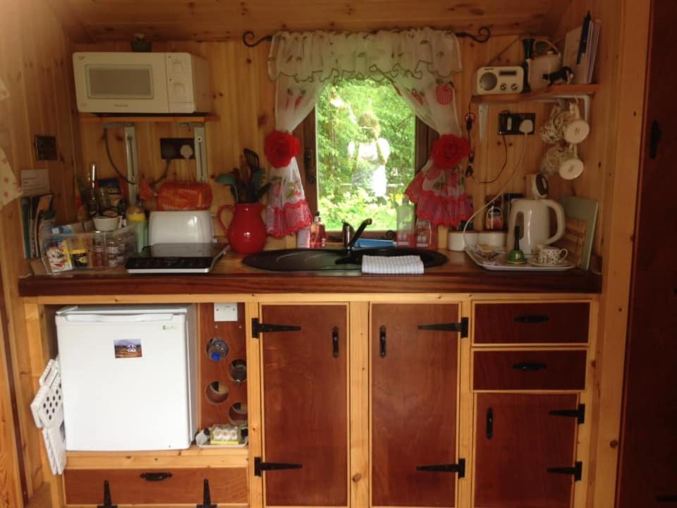 'Morris' The Shepherd'S Hut And Woodland Hot Tub Experience كرمرثن المظهر الخارجي الصورة